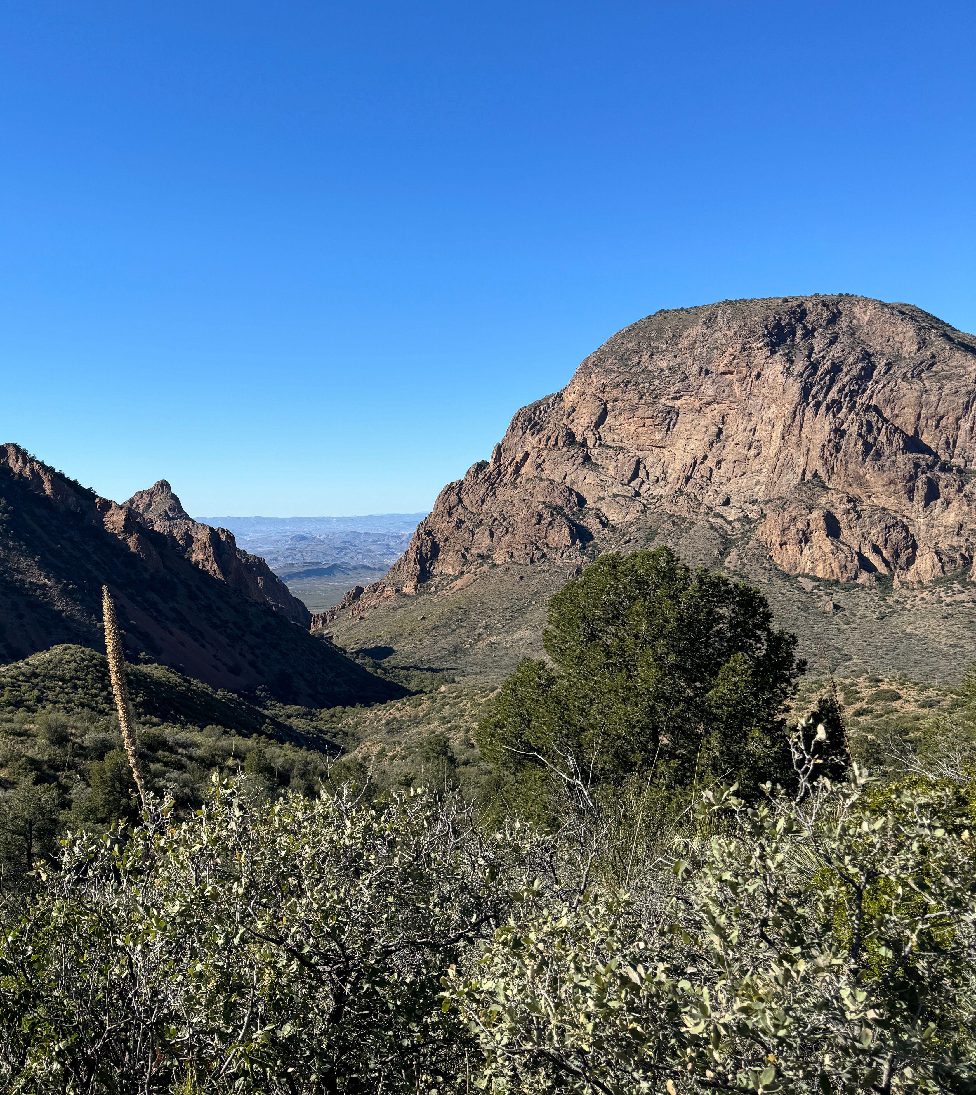 Picture of Big Bend National Park