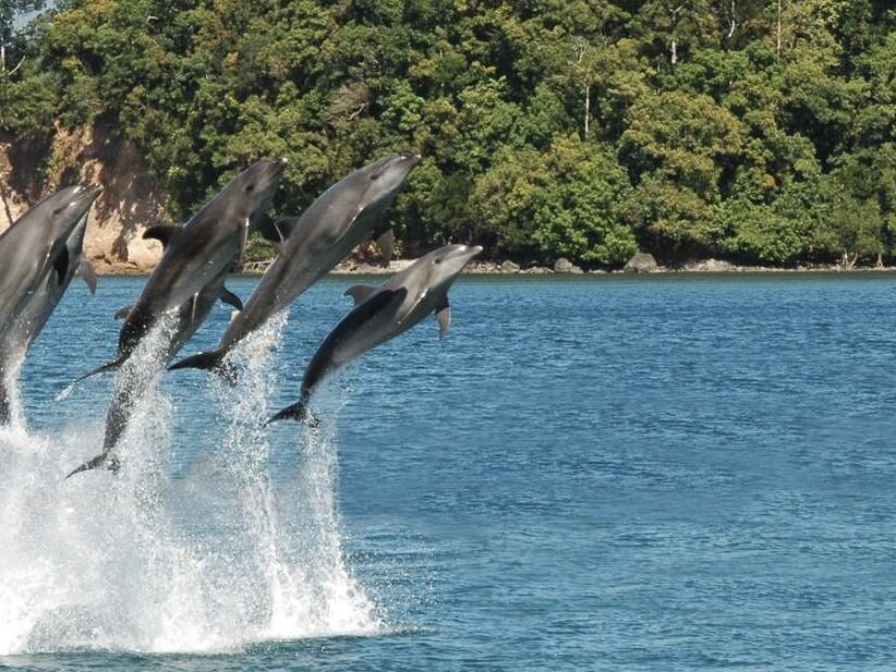 Picture of Ocean Adventure, Subic Bay