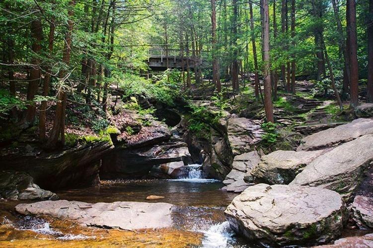 Picture of Seven Tubs Recreation Area - Pinchot Forest District