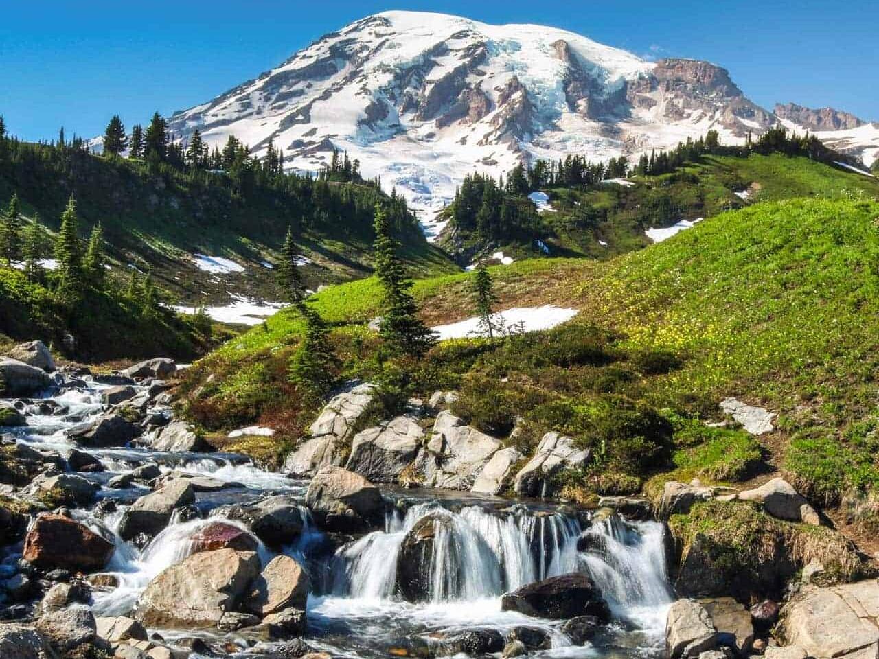 Picture of Mt Rainier