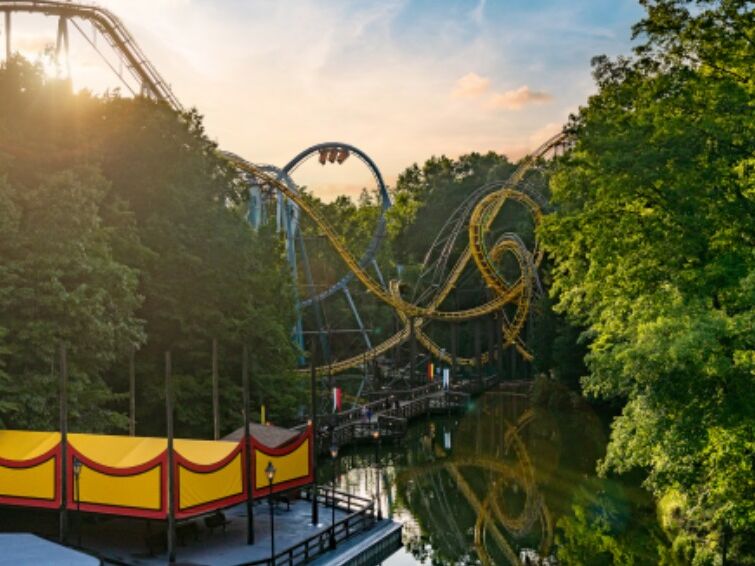 Picture of Busch Gardens Tampa Bay