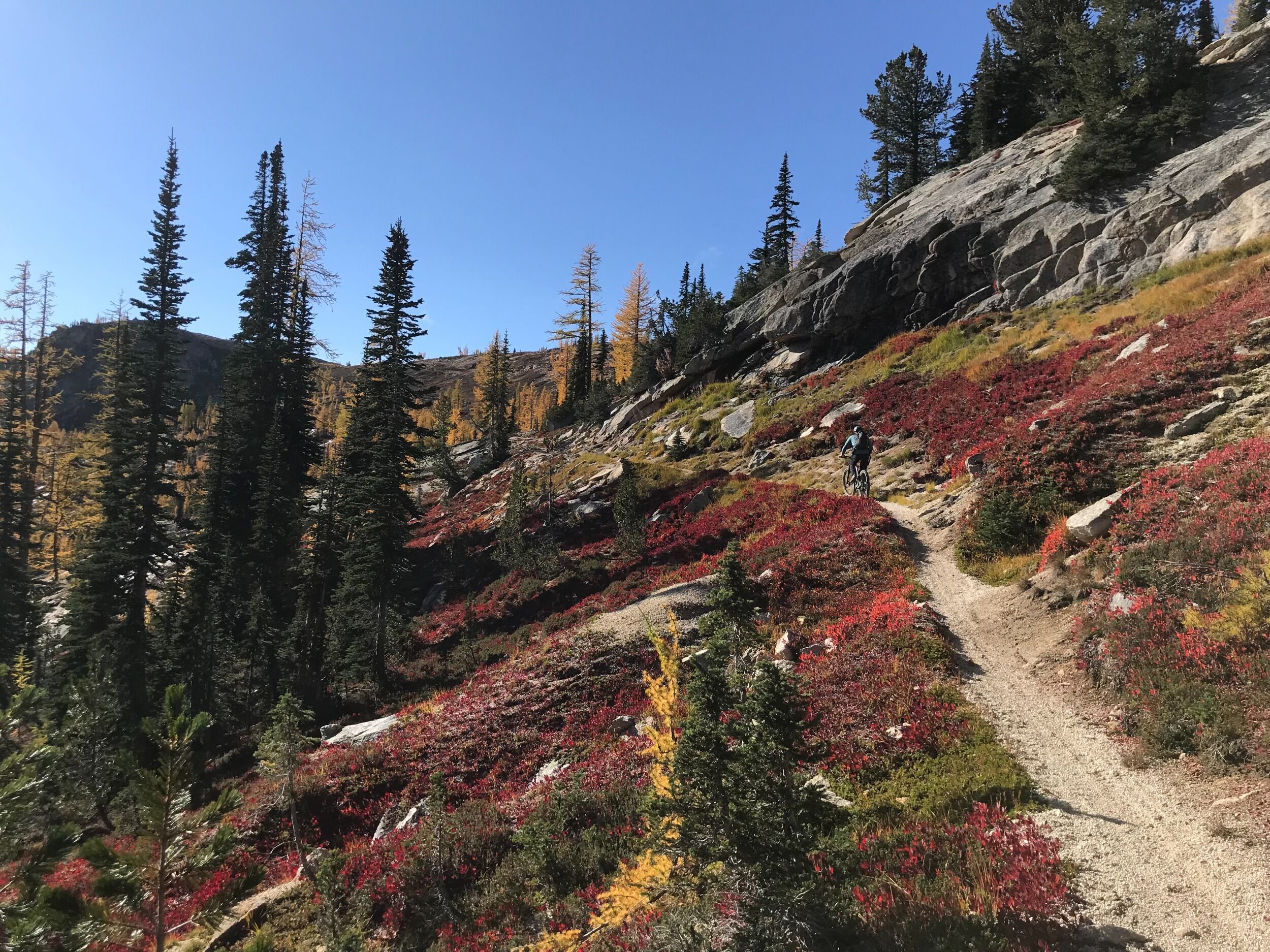 Picture of North Cascades National Park
