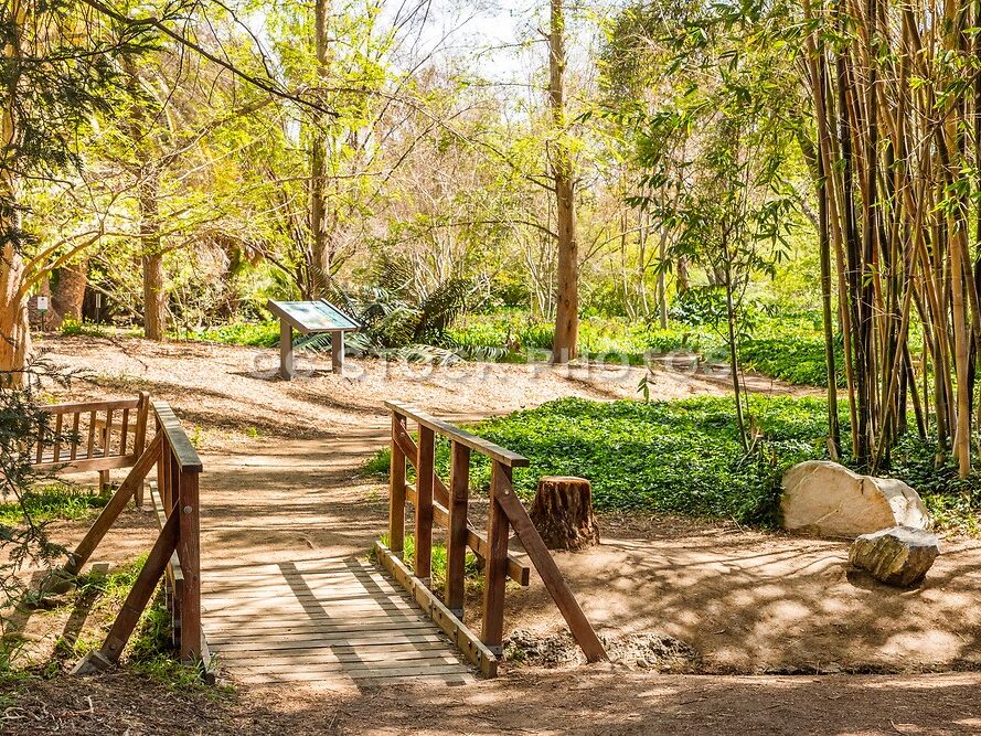 Picture of Arboretum and Botanical Garden at Cal State Fullerton