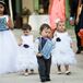 Has Anyone Seen The Rings Ring Bearer Sign
