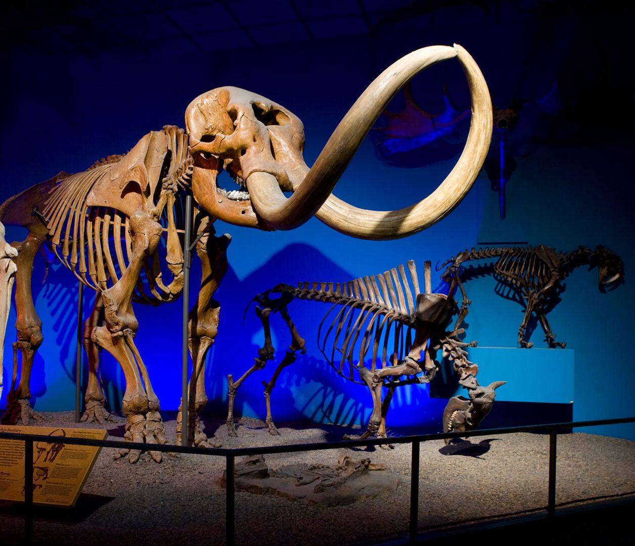 Picture of Milwaukee Public Museum