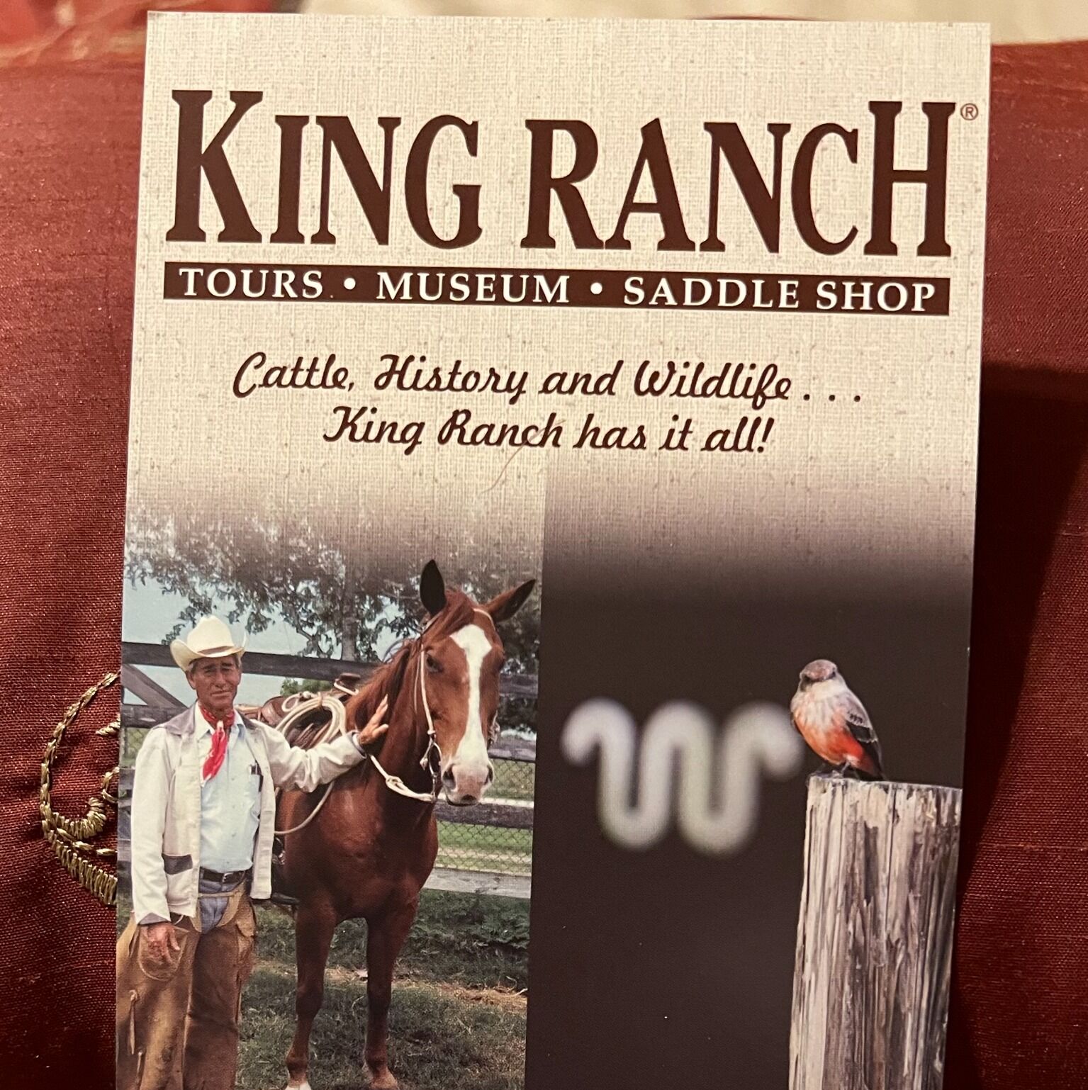 Picture of King Ranch
