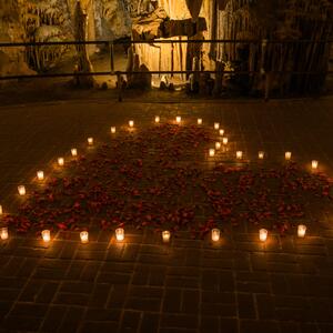Gallery Photo 26