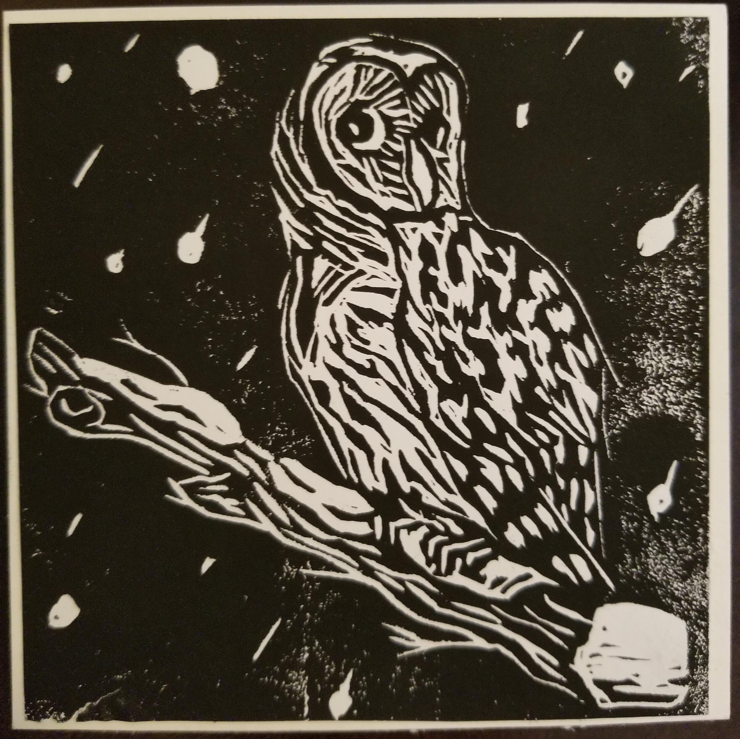 Picture of Sam Bowman | Table 9 Barred Owl