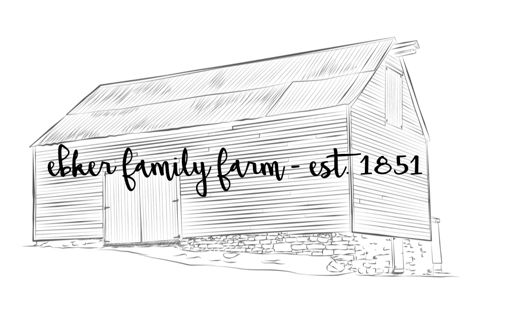Chelsea & Gregory Home Page Banner