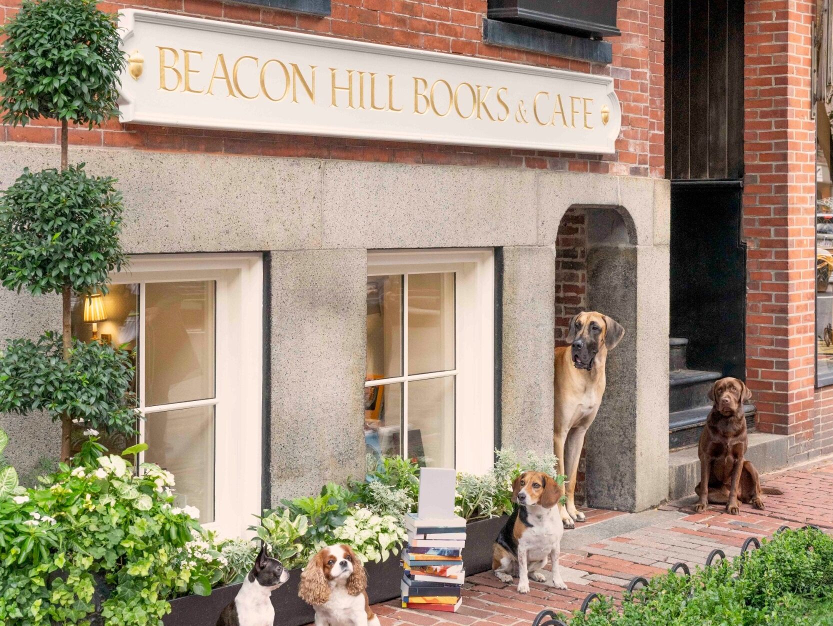Picture of Beacon Hill Books & Cafe