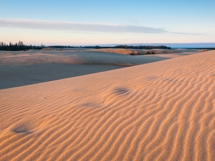 Picture of Oregon Dunes National Recreation Area Siuslaw National Forest