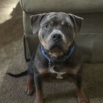 Odin