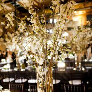 Cherry Blossom Centerpieces