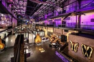 Picture of JW Marriott Savannah Plant Riverside District