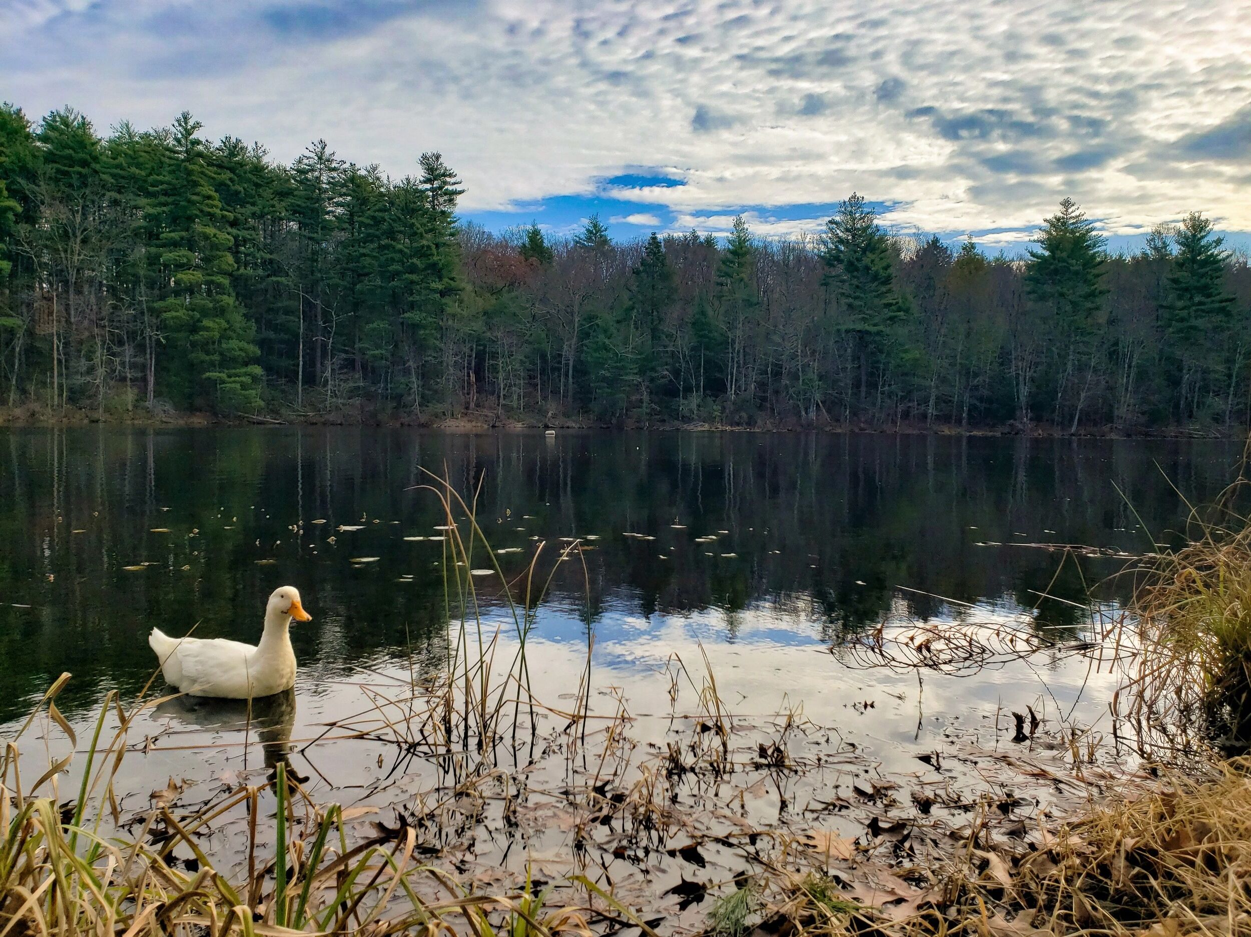 Picture of Wells State Park
