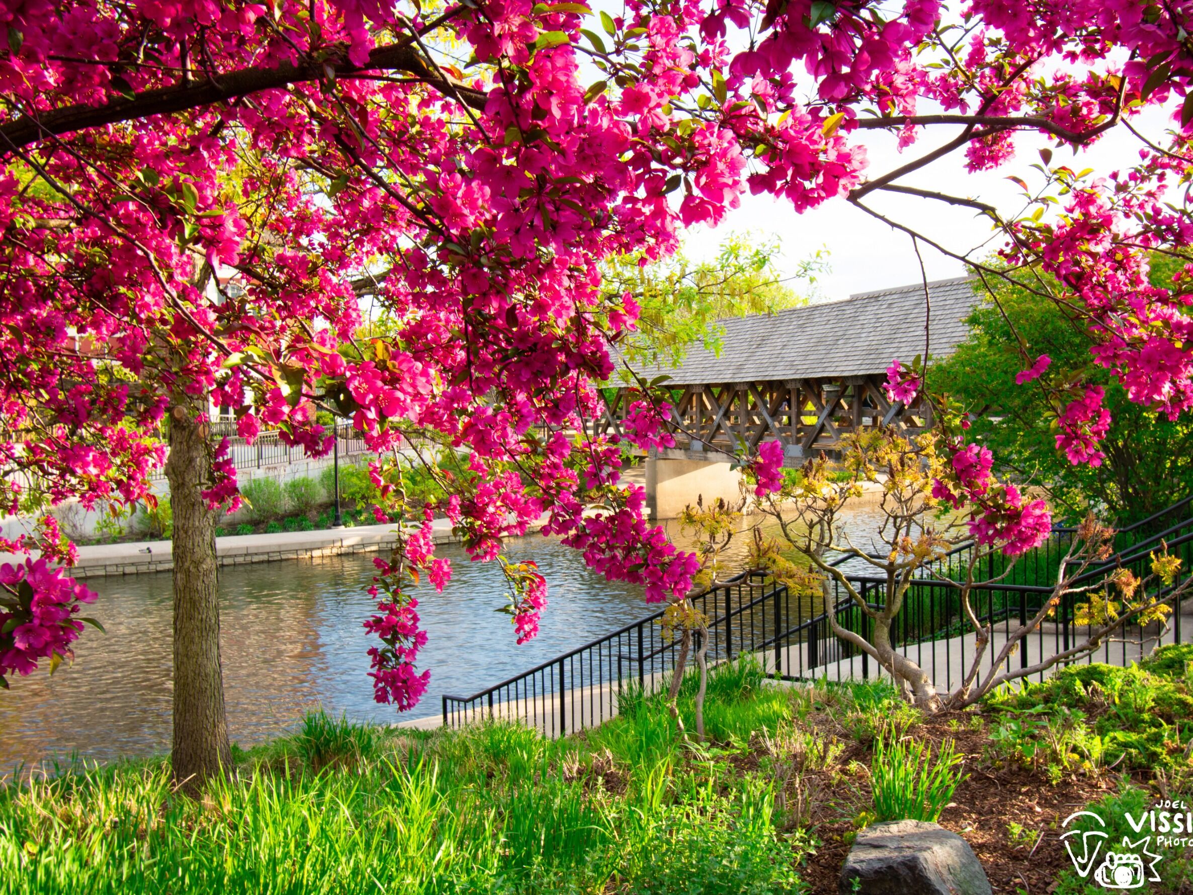 Picture of Riverwalk Park