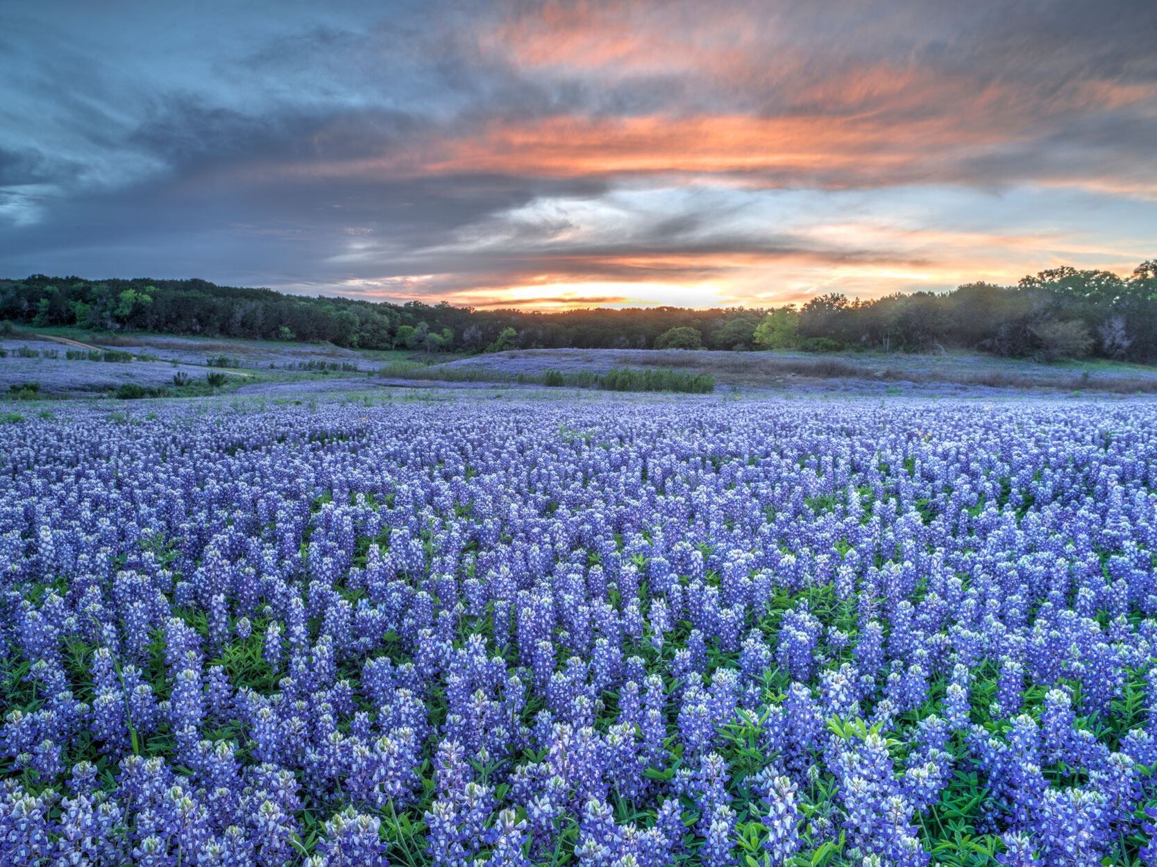 Picture of Destination Dripping Springs