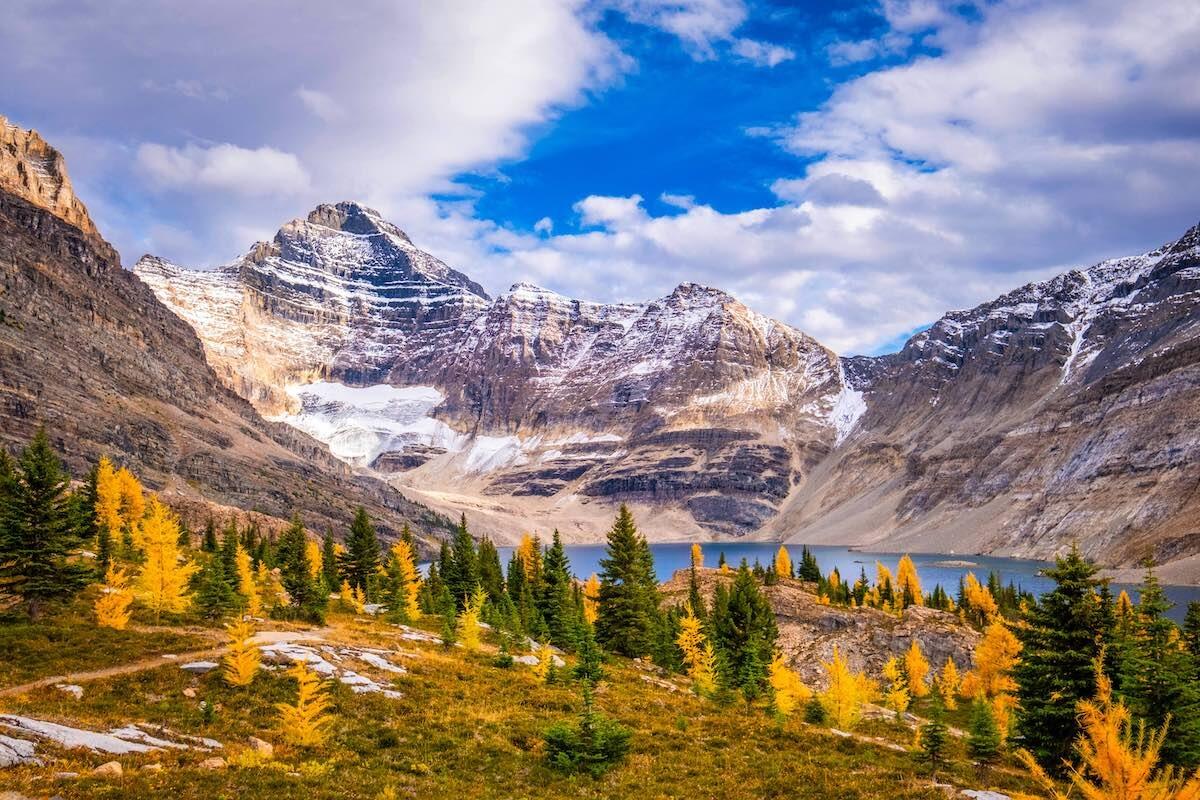 Picture of Yoho National Park Of Canada