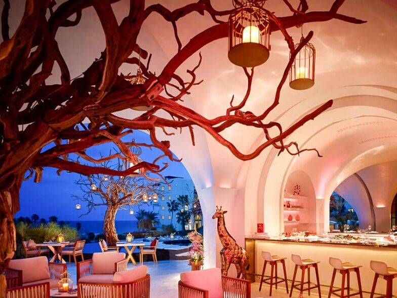 Picture of Arbol At Las Ventanas al Paraiso