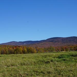 Gallery Photo 20