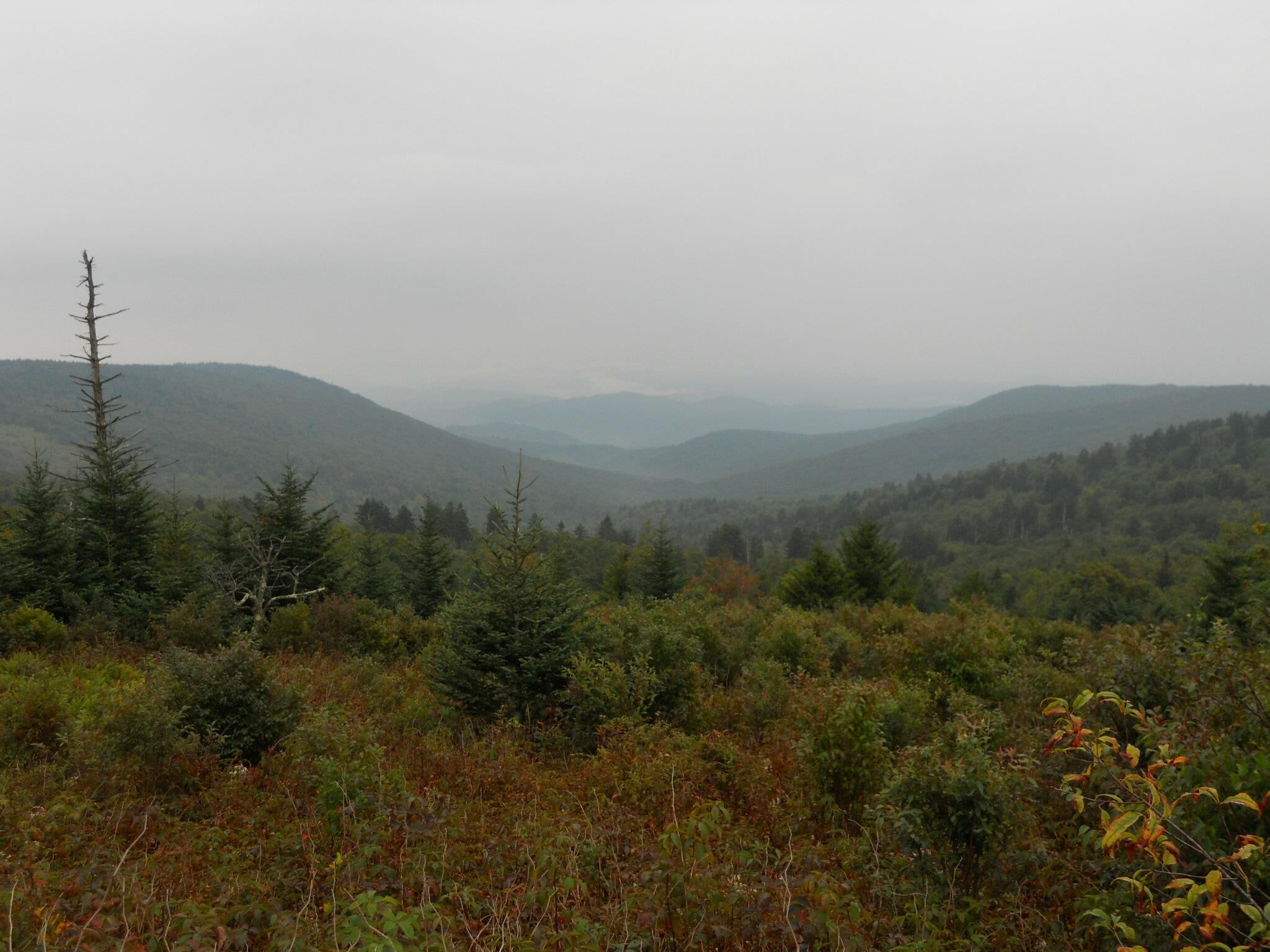 Picture of Grayson Highlands State Park