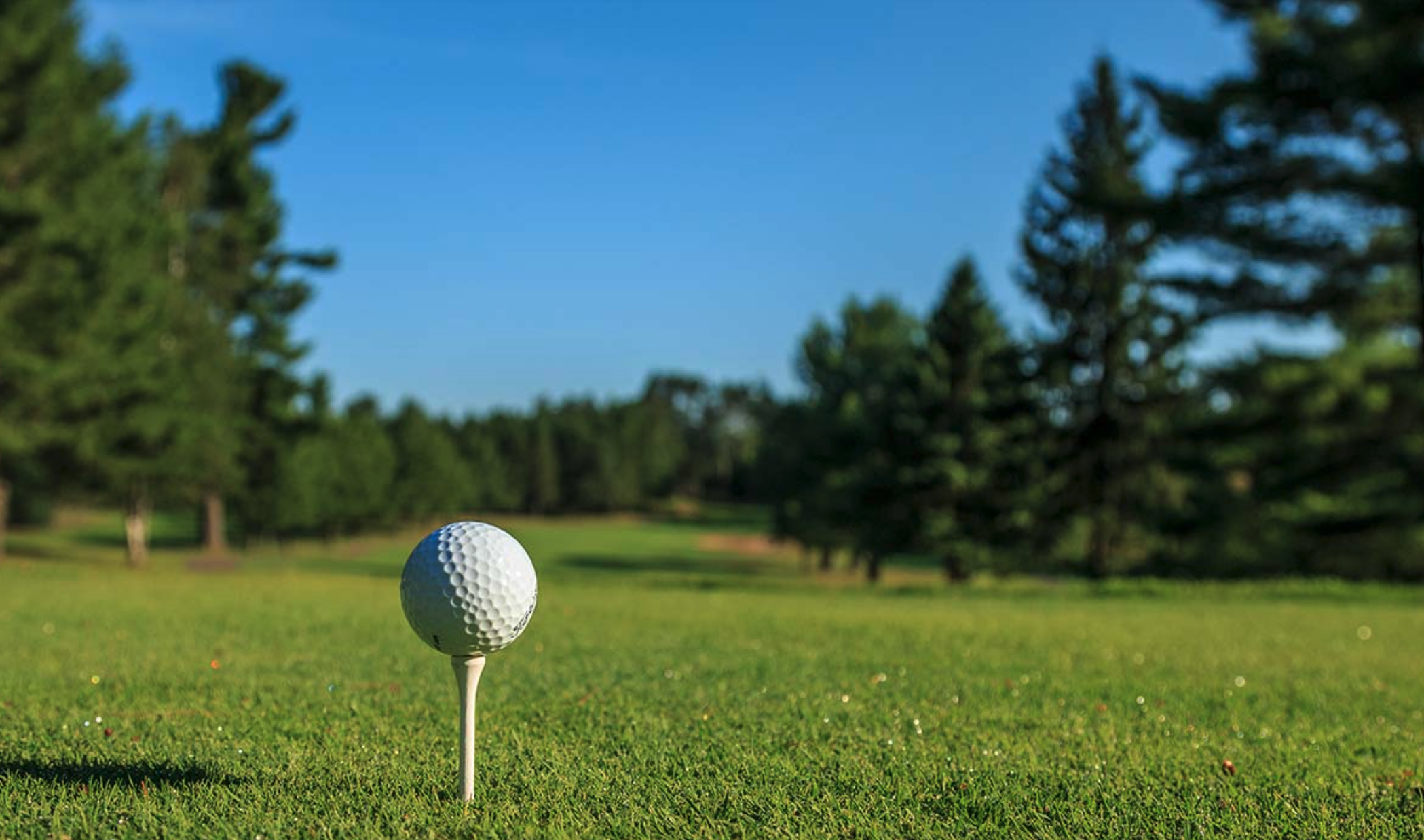 Picture of Various Golf Courses