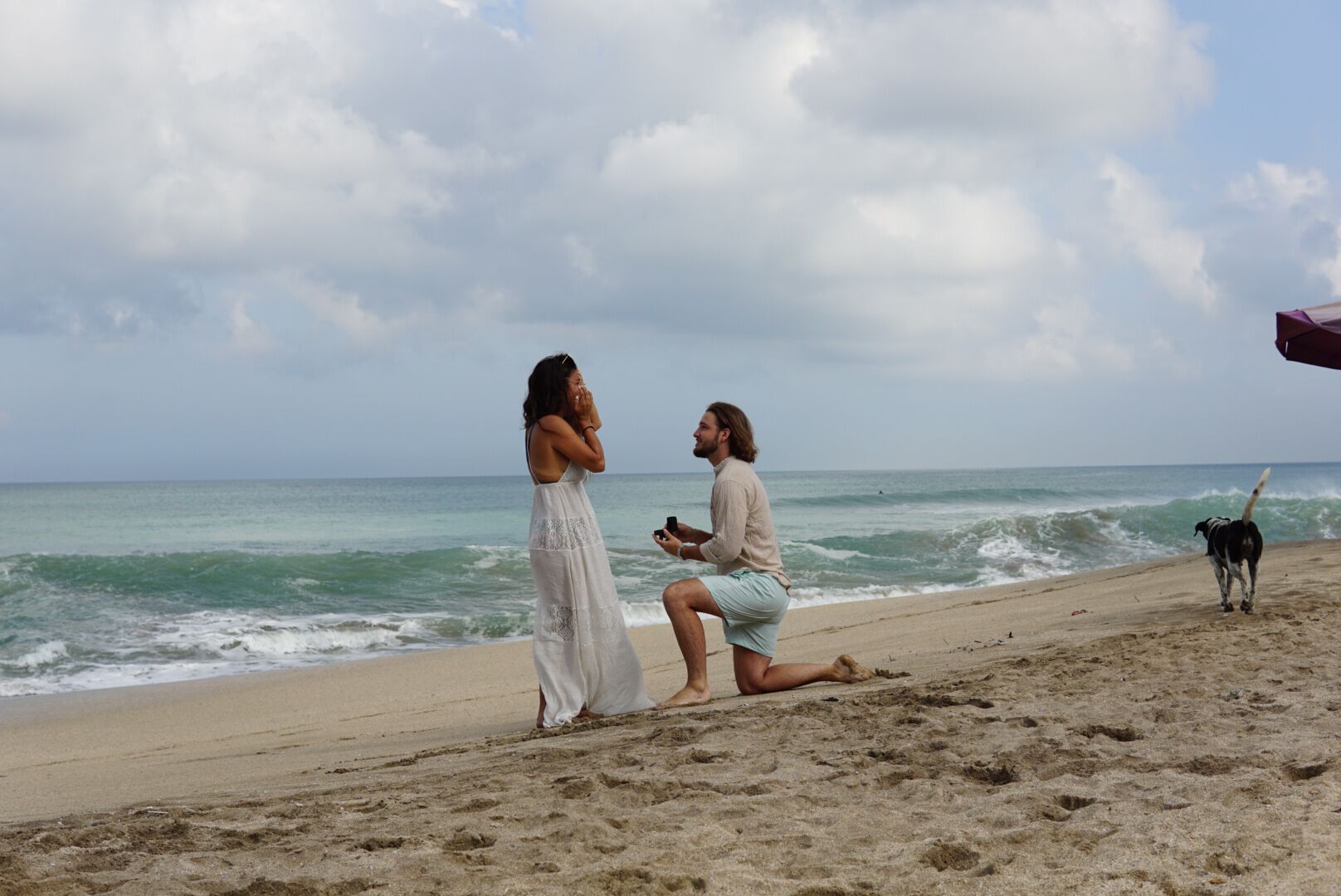 Album Photo 6