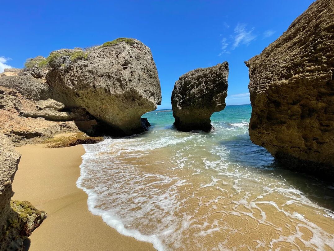 Picture of Survival Beach