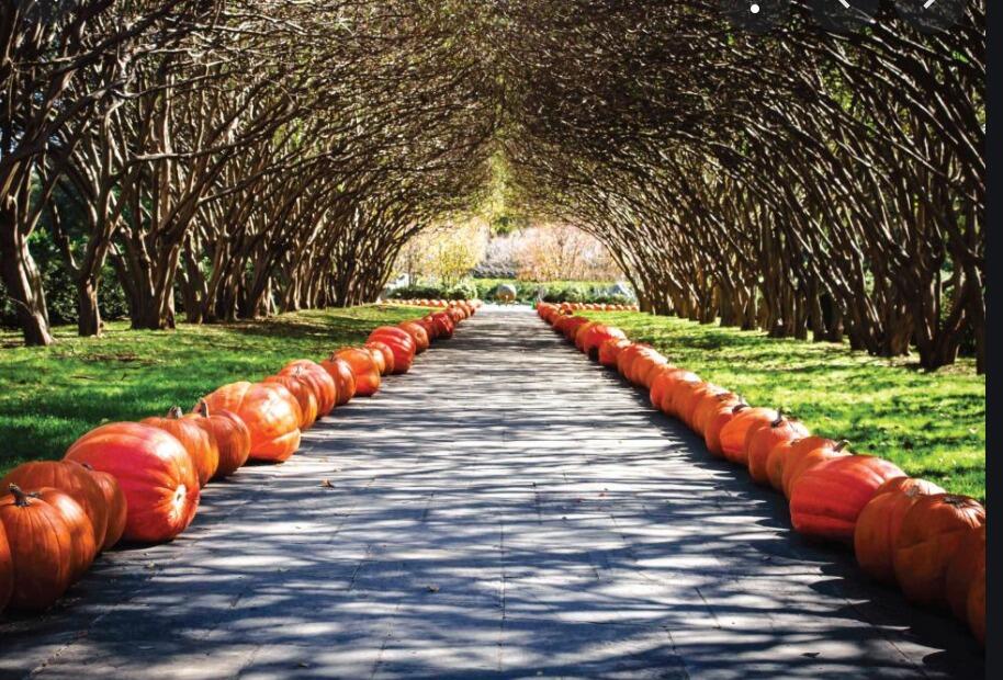 Picture of The Dallas Arboretum and Botanical Garden