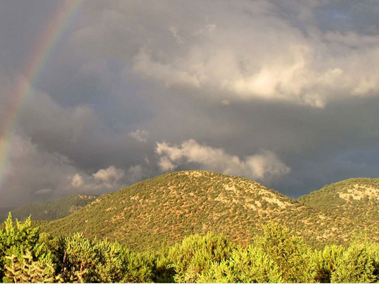 Picture of Sun Mountain Trail (Moderate)