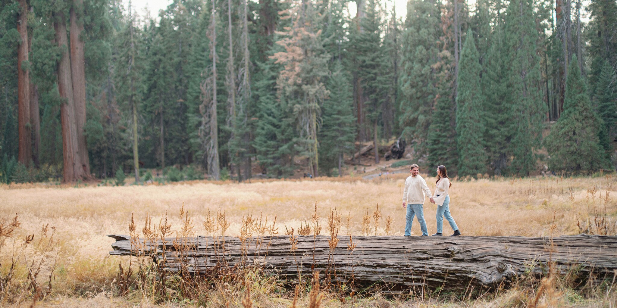 Kelsey & Gage Home Page Banner