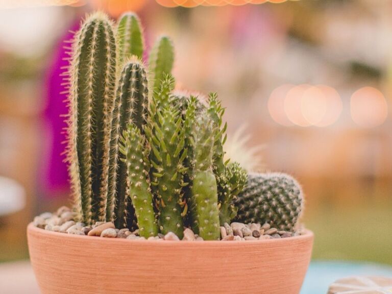 cactus centerpiece