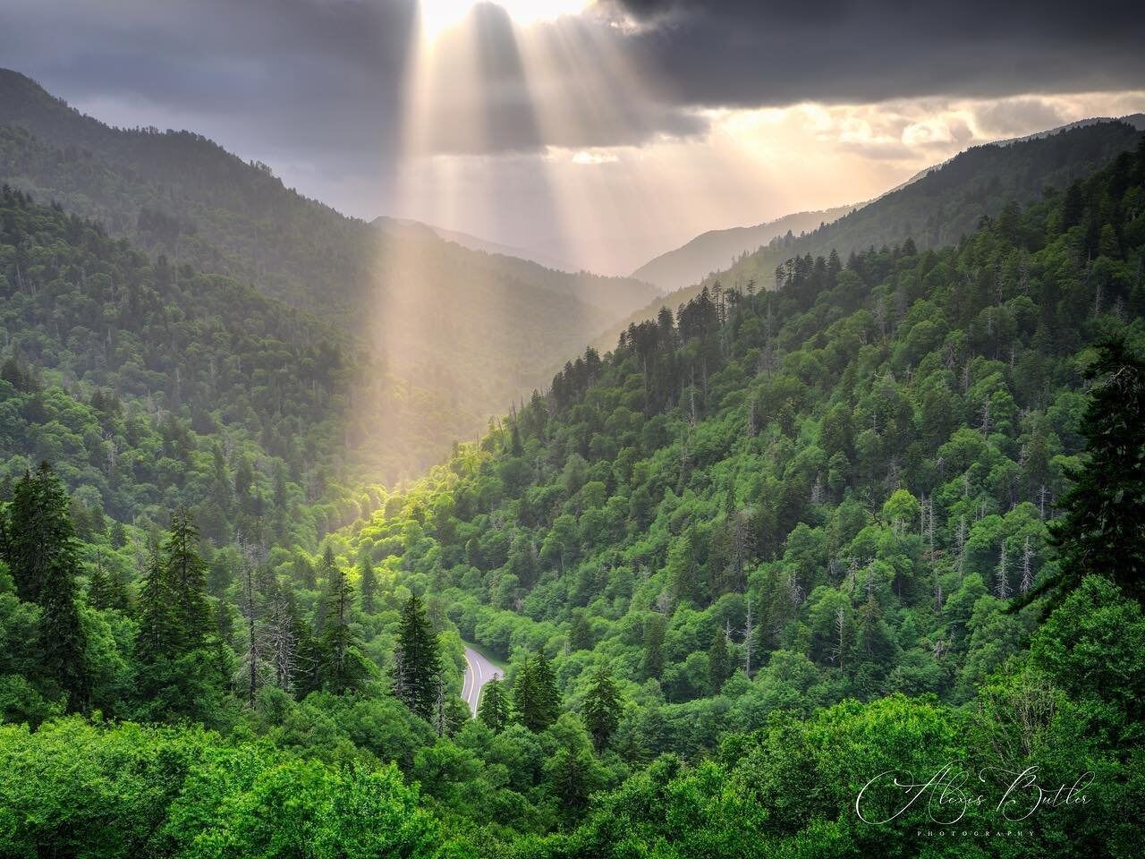 Picture of Hiking in the Smokies