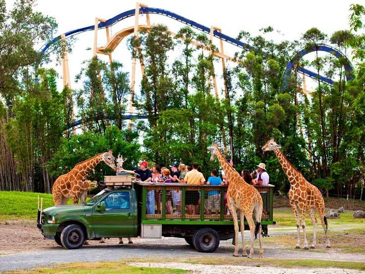 Picture of Busch Gardens Tampa Bay