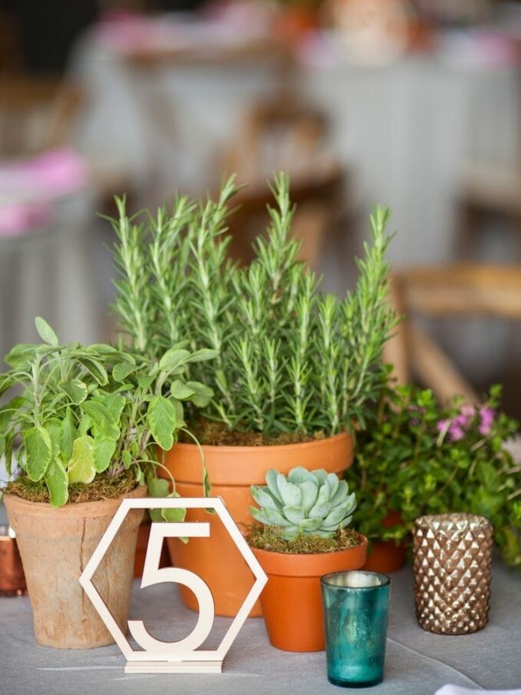 centerpiece with potted herbs