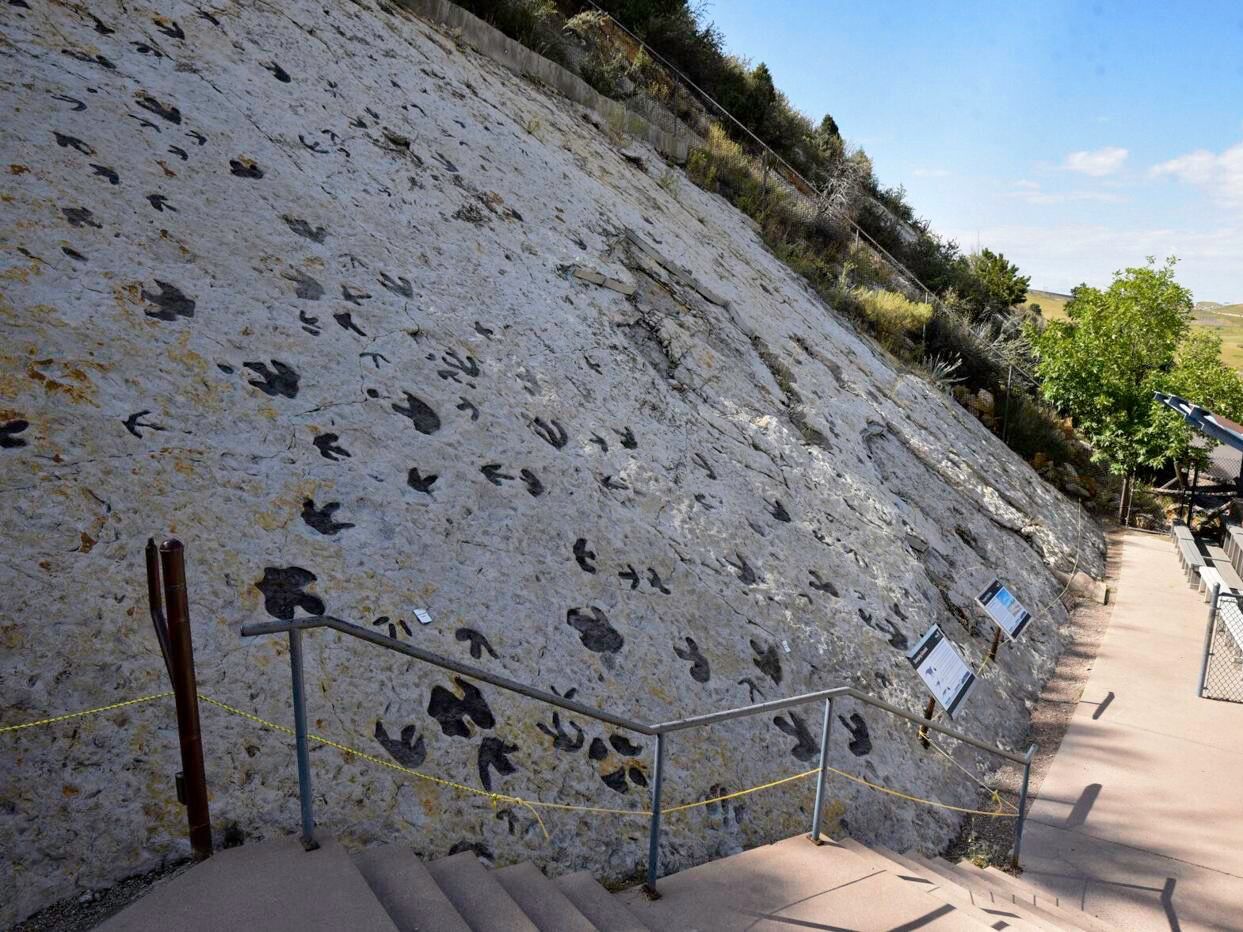 Picture of Dinosaur Ridge Trailhead