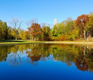 Picture of Schenley Park