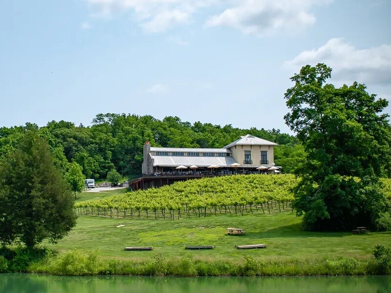 Picture of Chandler Hill Vineyards
