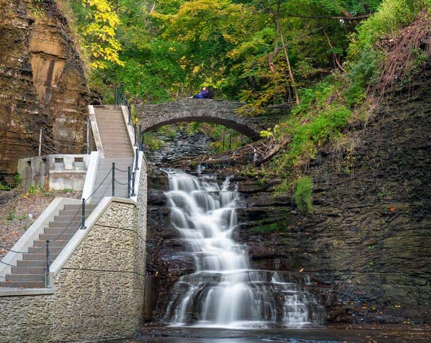 Picture of Take a day trip to Cayuga and Seneca Lakes