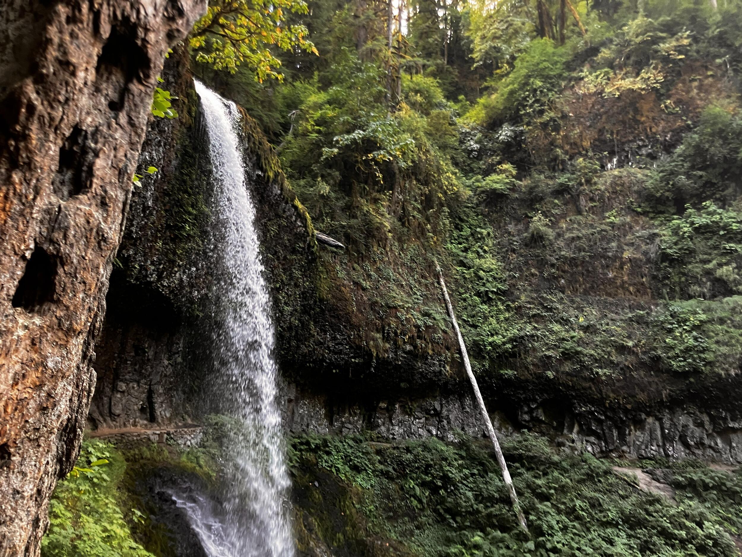 Silver Falls, Oregon
