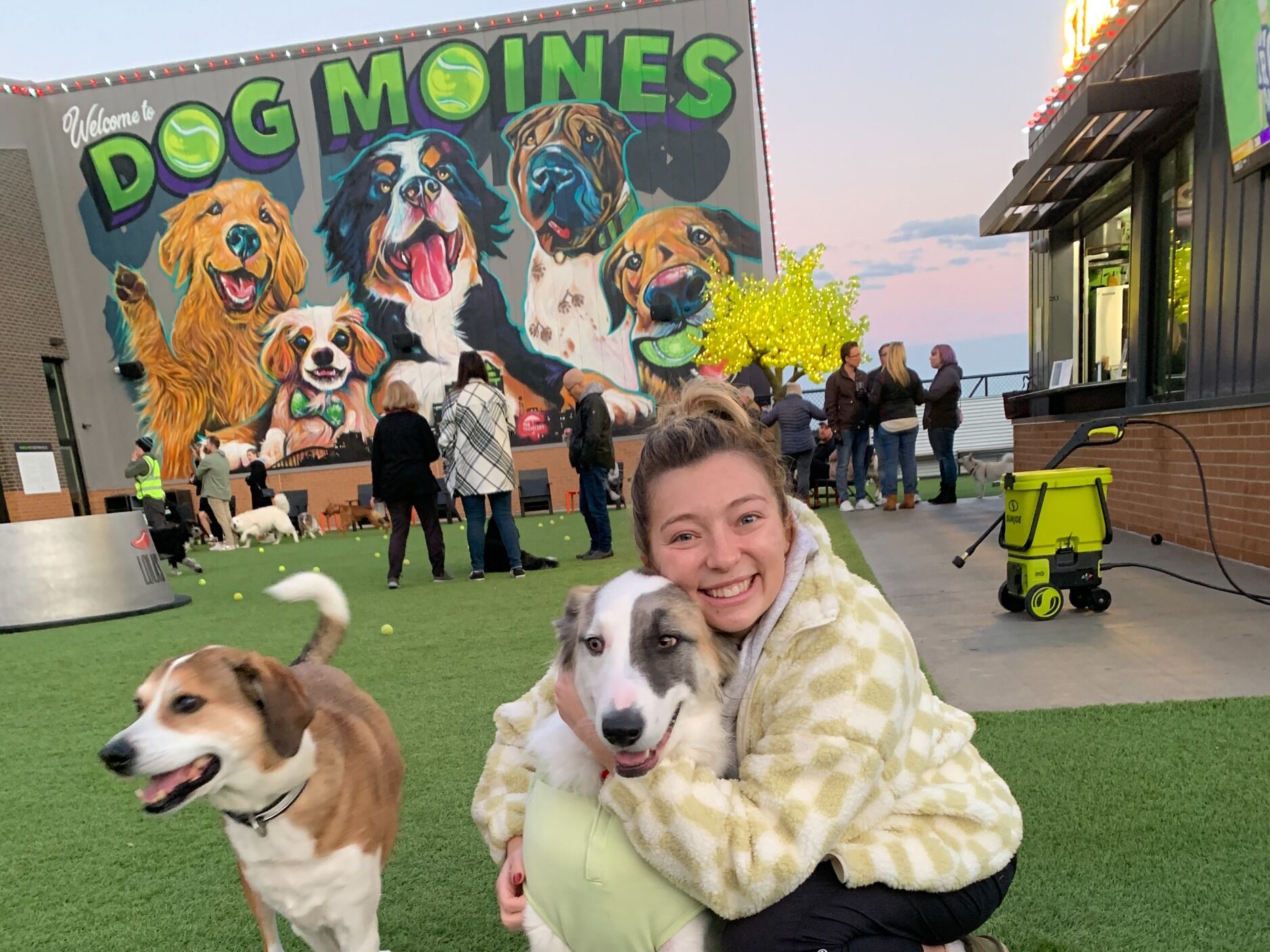 Picture of Paws & Pints