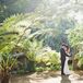 Bride and Groom Embrace Under Lush Tropical Trees, Sun Shining Through