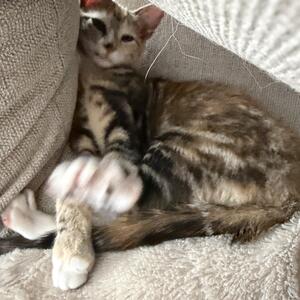 Gallery Photo 40