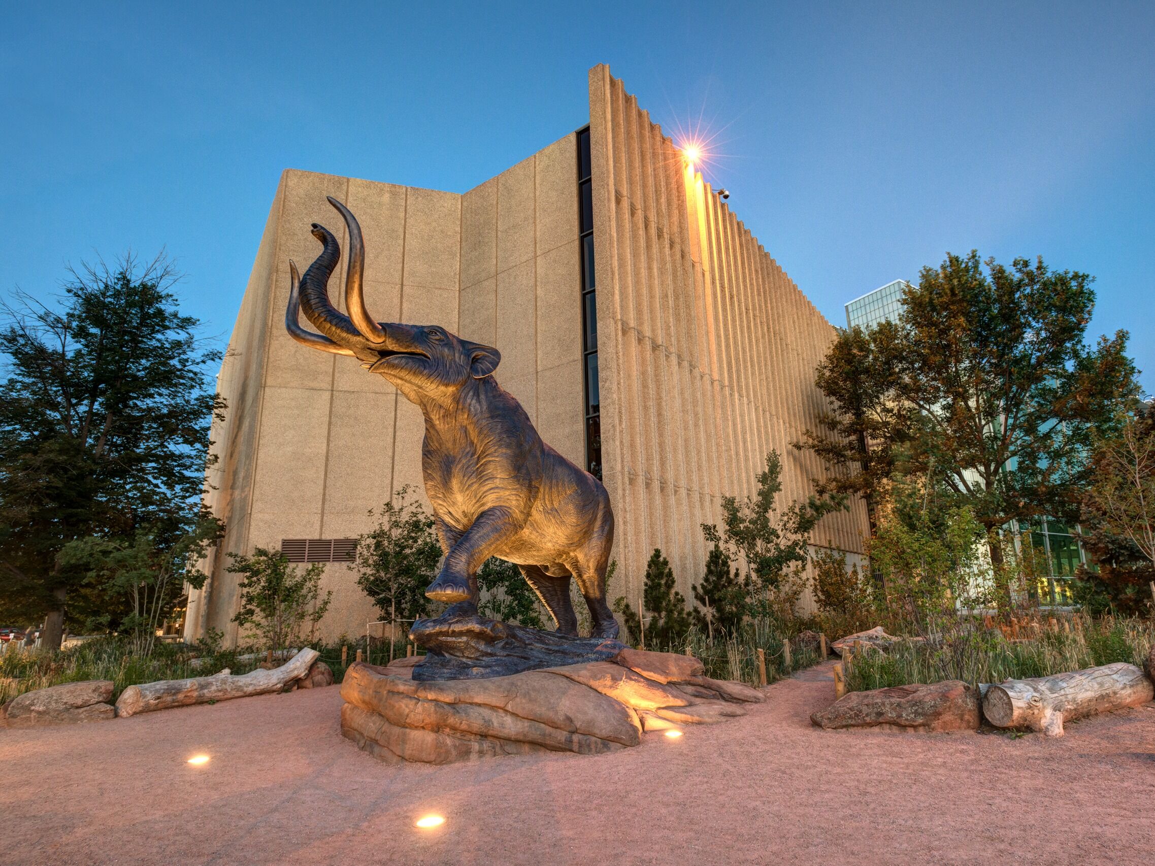 Picture of Denver Museum of Nature & Science