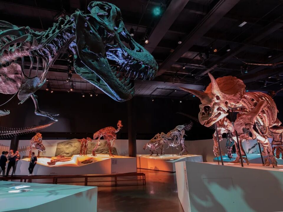 Picture of Houston Museum of Natural Science