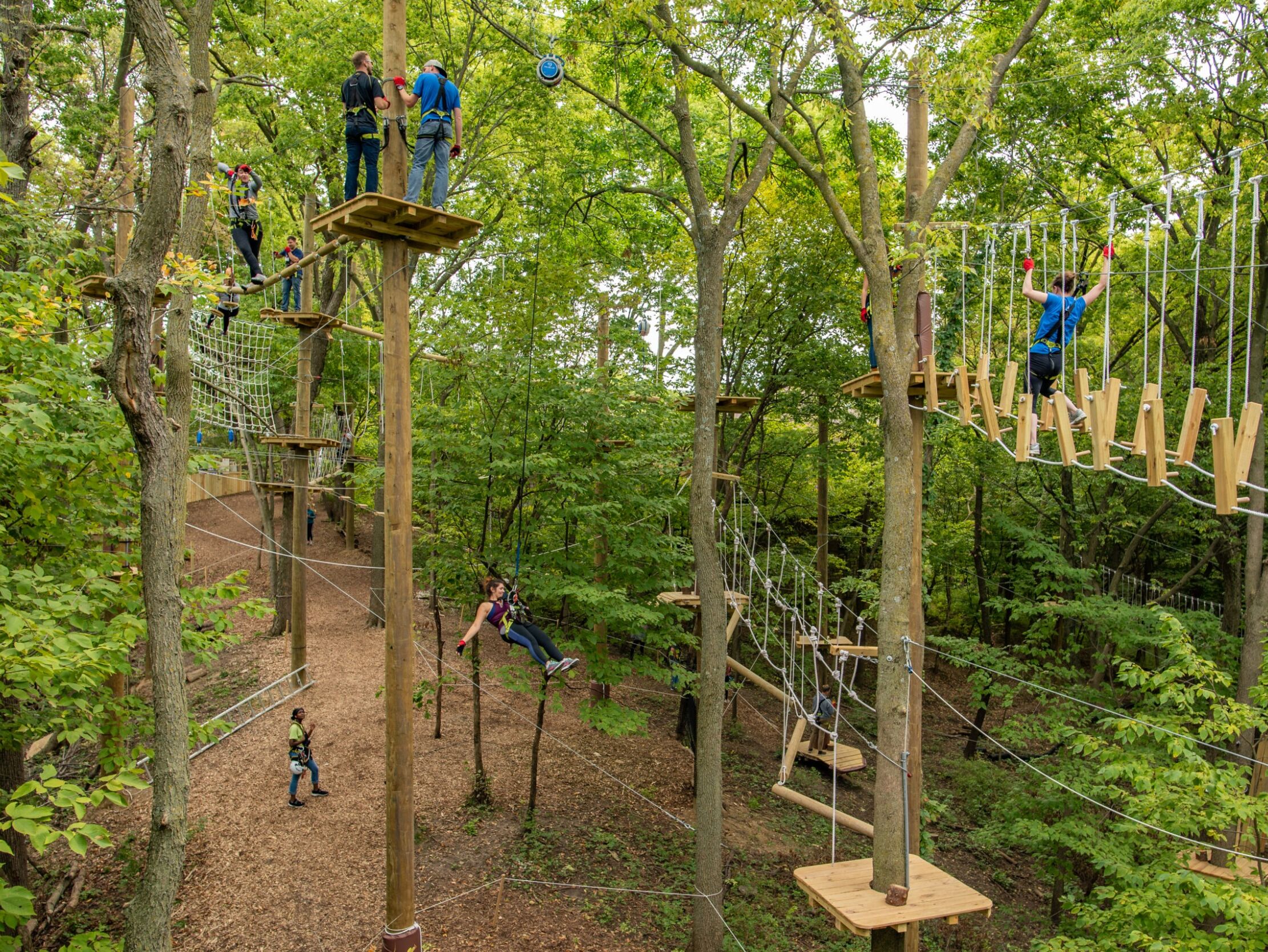Picture of Fontenelle Forest