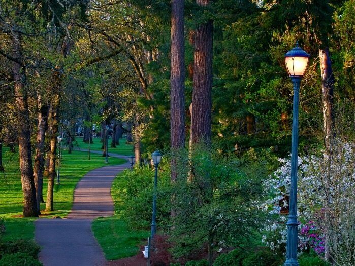 Picture of Bush's Pasture Park