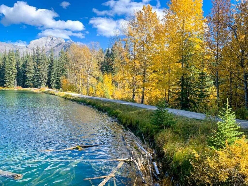 Picture of Johnson Lake Loop