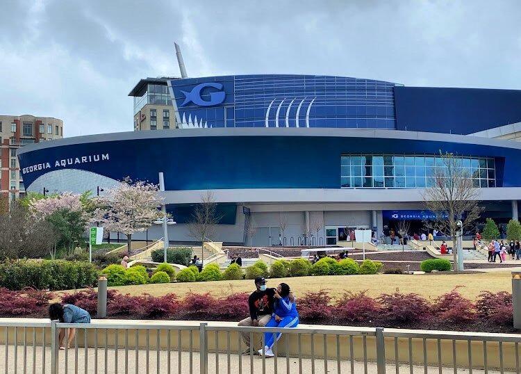 Picture of Georgia Aquarium