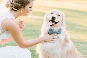 Blue-Gray Dog Bow Tie